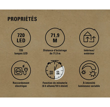Caractéristiques : 720 lampes LED, distance d''éclairage de 71,9 mètres, convient pour l''intérieur et l''extérieur, raccordement électrique, fonction de minuterie six heures allumées et 18 heures éteintes, intensité lumineuse variable