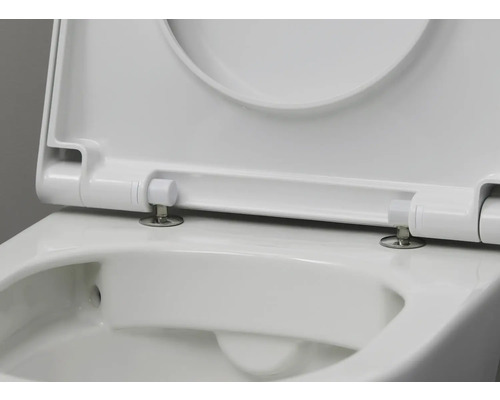 Detailansicht einer weissen WC-Brille mit geöffnetem Deckel