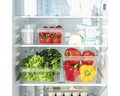 Kühlschrank mit transparenten Aufbewahrungsboxen gefüllt mit Gemüse, Salat und Tomaten