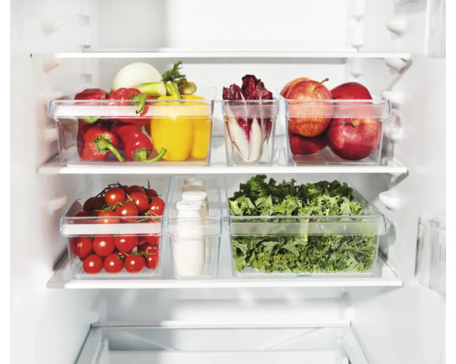 Kühlschrank mit transparenten Behältern voller Gemüse und Obst zur Aufbewahrung von Lebensmitteln