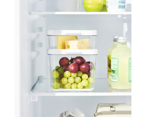 Zwei durchsichtige Frischhaltedosen mit Deckel im Kühlschrank, gefüllt mit Trauben und Käse