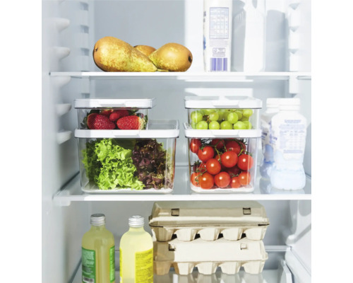 Kühlschrank mit Lebensmitteln in Frischhaltedosen