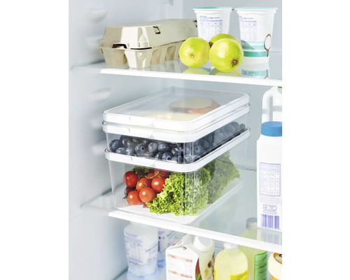 Kühlschrank mit Lebensmitteln in durchsichtigen Aufbewahrungsbehältern