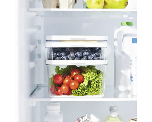 Kühlschrankregal mit zwei transparenten Vorratsbehältern gefüllt mit Tomaten, Salat und Blaubeeren