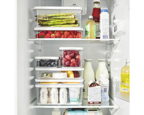 Gefüllter Kühlschrank mit Lebensmitteln in durchsichtigen Behältern