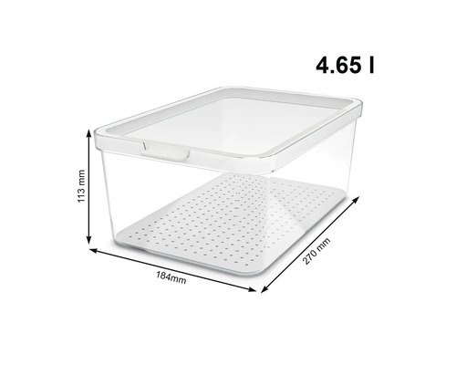 Transparente Frischhaltedose mit Deckel, 4,65 Liter Fassungsvermögen und den Maßen 270 x 184 x 113 Millimeter.