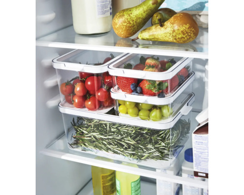 Stockage de nourriture au réfrigérateur avec des tomates, des fraises, des myrtilles, des raisins et du romarin