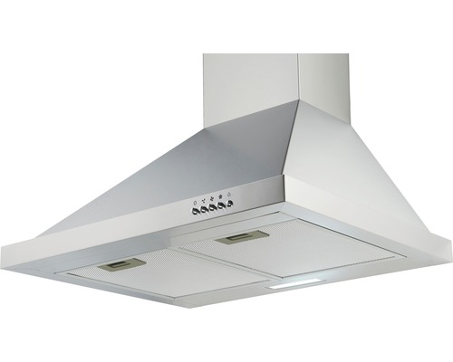 Hotte aspirante en acier inoxydable pour la cuisine