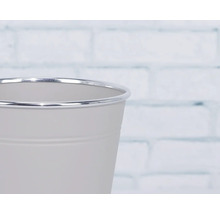 Dekorativer Pflanztopf aus Metall