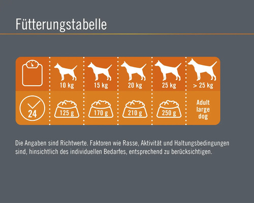Fütterungstabelle für Hunde mit Gewichtsempfehlungen