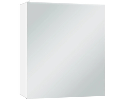 Armoire de toilette à LED DSK Silver Skyline lxhxp 60x70x13.1 cm couleur alu Armoire de toilette pour salle de bains