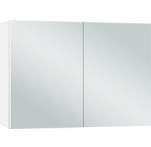 Armoire de toilette avec deux portes pour la salle de bain