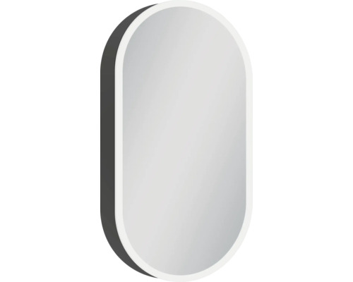 Armoire de toilette à LED DSK Oval Torino lxhxp 45x80x13.2 cm noir