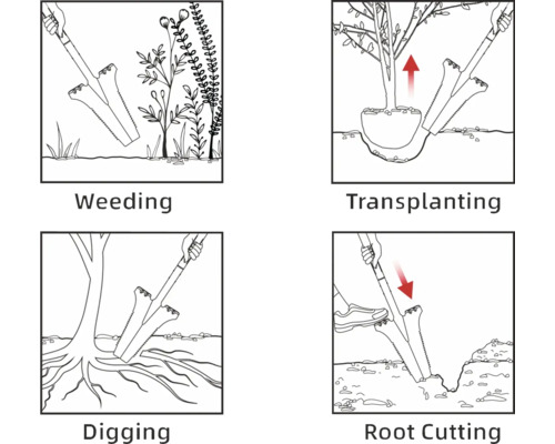 Illustrationen zeigen die Verwendung eines Unkrautstechers beim Jäten, Umpflanzen, Graben und Wurzelschneiden.