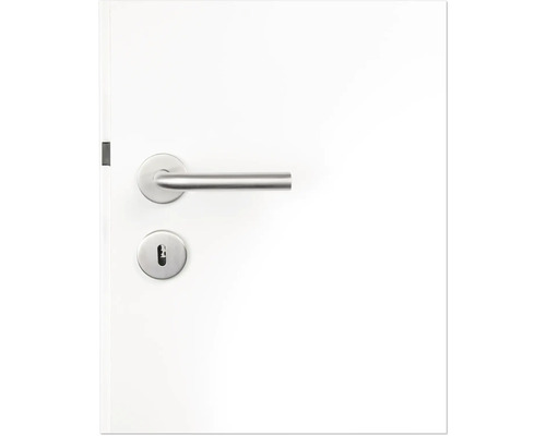 Porte avec poignée de porte et serrure en métal