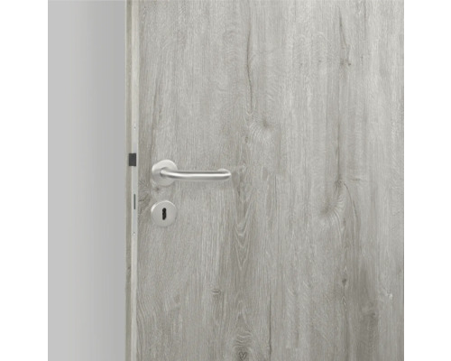 Porte en bois avec serrure et poignée de porte