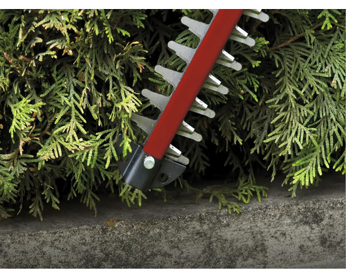 Taille-haie coupant une haie