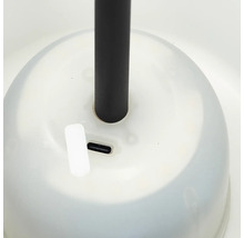 Lampadaire à accu LED Kaami 4 W 350 lm noir réglable en hauteur