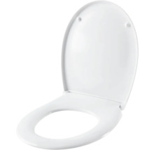 Toilettendeckel aus Kunststoff, geöffnet