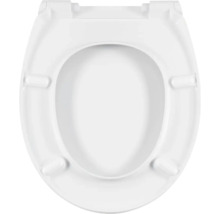 Toilettendeckel aus Kunststoff