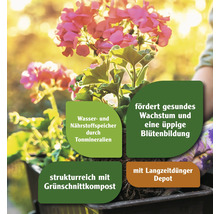 Nahaufnahme einer Geranie in Pflanzenerde mit Hinweisen zu den Eigenschaften der Erde.