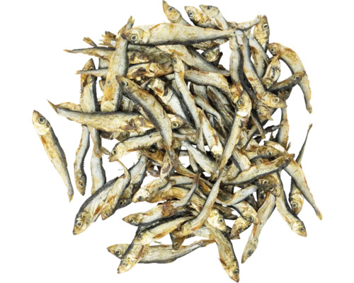 Pile de poissons séchés