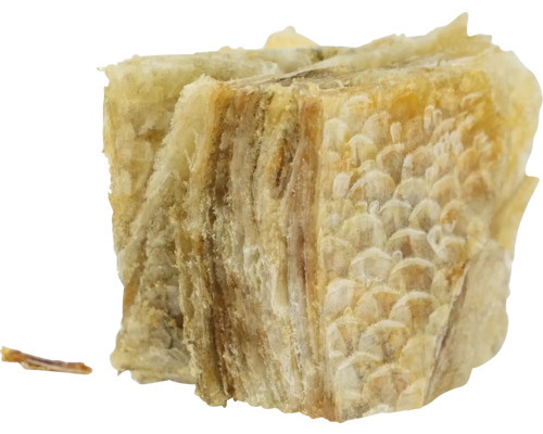 Cube de poisson séché pour chiens