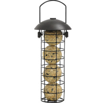 Vogelfutterspender mit vier Futterknödeln im Metallkäfig