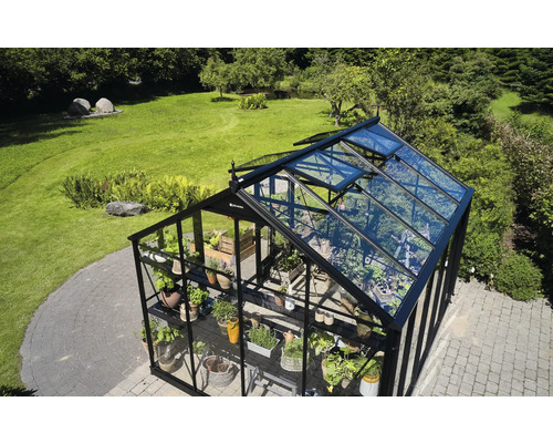 Serre avec plantes et fenêtres ouvertes dans le jardin