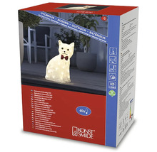 Verpackung einer LED Dekofigur Katze für den Außenbereich von Konstsmide