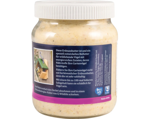 Pot de beurre de cacahuète pour oiseaux sauvages