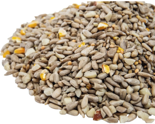 Graines de tournesol et céréales pour nourriture pour oiseaux