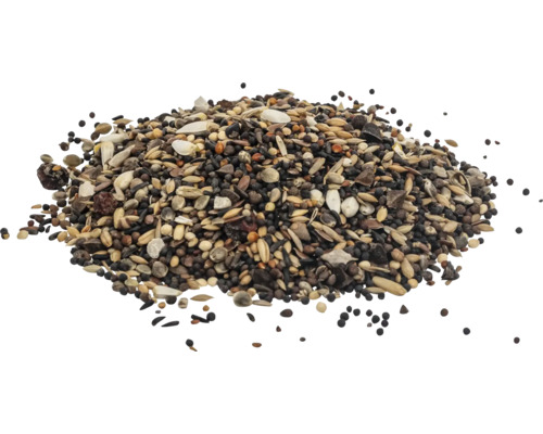 Tas d''aliments pour oiseaux contenant diverses graines et céréales