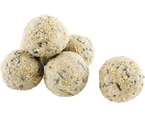 CJ Wildlife Wildvogelfutter Premium Meisenknödel 50 St.