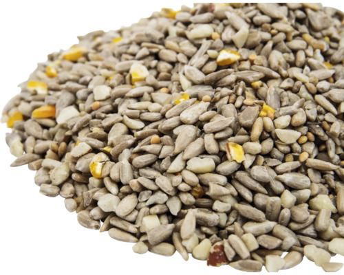 Graines de tournesol et céréales pour l''alimentation des oiseaux