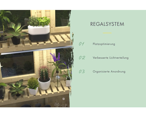 Regalsystem mit Pflanzen zur Platzoptimierung, verbesserter Lichtverteilung und organisierter Anordnung.