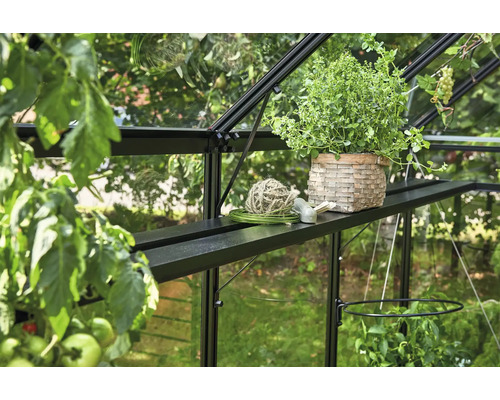 Intérieur de serre avec plante en pot, ficelle et outils de jardinage sur une étagère