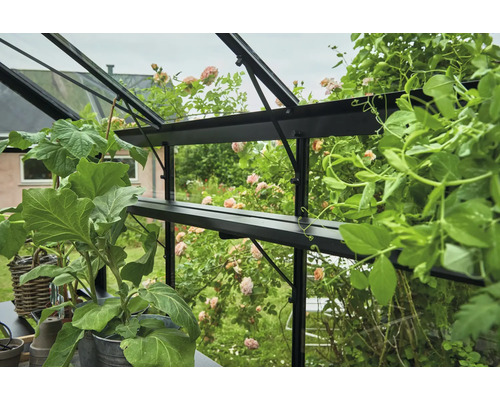 Serre avec plantes et étagères