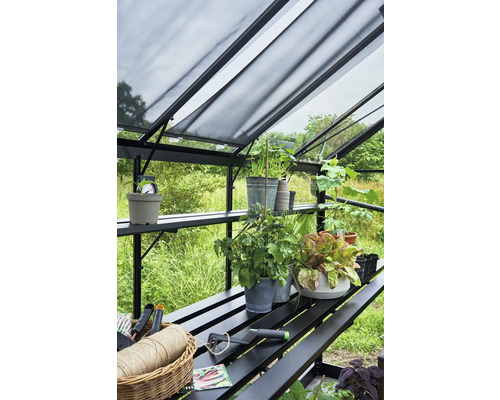 Intérieur de serre avec étagères, plantes, outils de jardinage et système d''ombrage