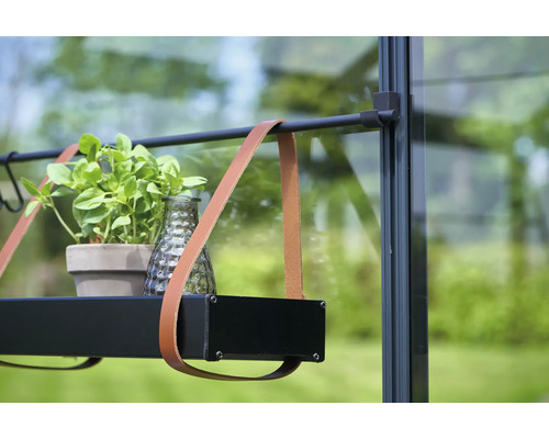 Detailansicht eines Gewächshauses mit Pflanze und Dekoration auf einem Regal mit Lederriemen