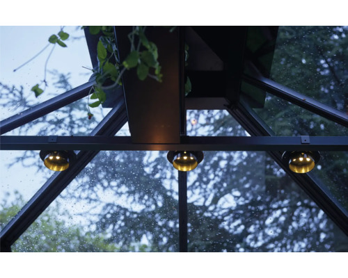 Vue intérieure d''une serre avec éclairage intégré