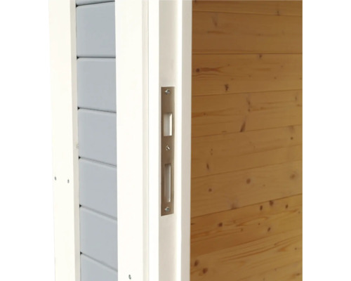 Vue détaillée d''une porte avec un boîtier de serrure