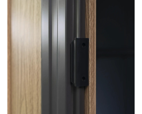 Gros plan d''une ferrure de porte