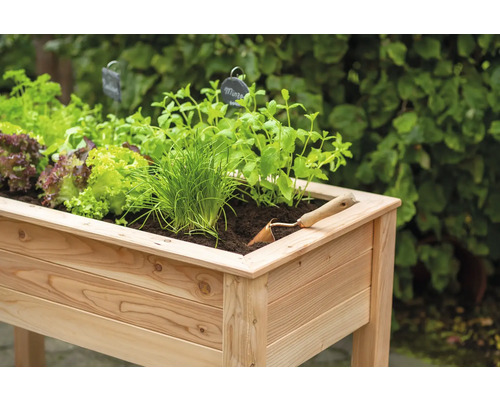 Jardinière surélevée avec laitue, ciboulette, menthe et une pelle de jardin