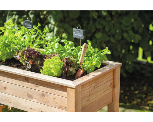 Jardinière surélevée en bois plantée de salade et d''herbes aromatiques, avec une petite pelle