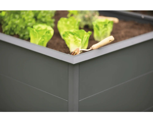 Detailaufnahme eines Hochbeets mit Salatpflanzen und einer kleinen Harke.