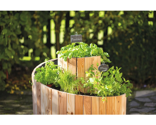 Spirale à herbes aromatiques en bois avec diverses herbes telles que le basilic et la menthe