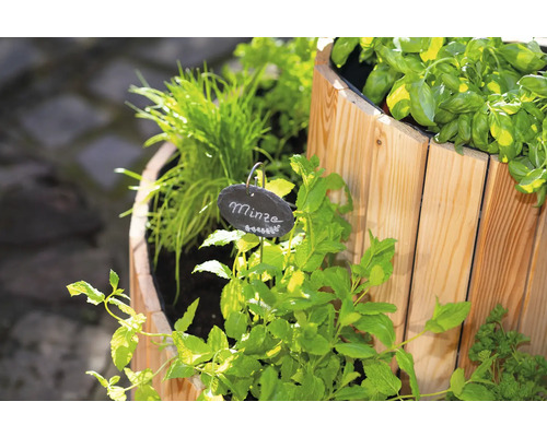 Jardinière surélevée avec des herbes telles que la menthe, la ciboulette et le basilic
