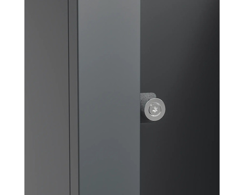 Porte d''armoire avec serrure