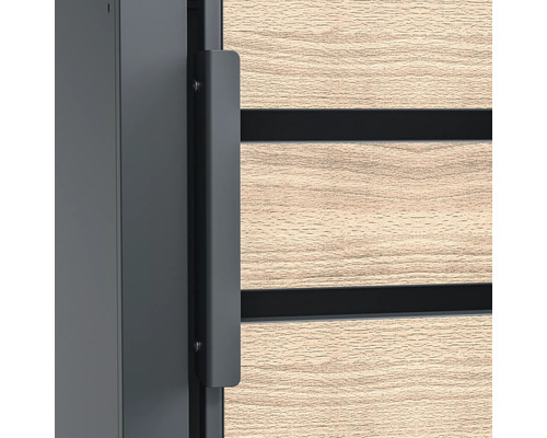 Vue détaillée d''une porte d''entrée avec poignée et décor en bois